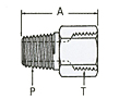 Pipe to SAE O-Ring